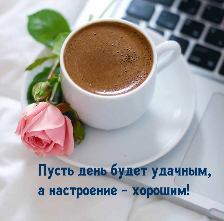 Пусть день будет удачным, а настроение — хорошим!