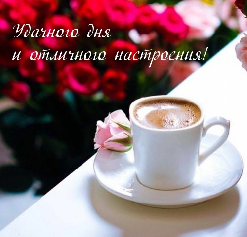 Удачного дня и отличного настроения!