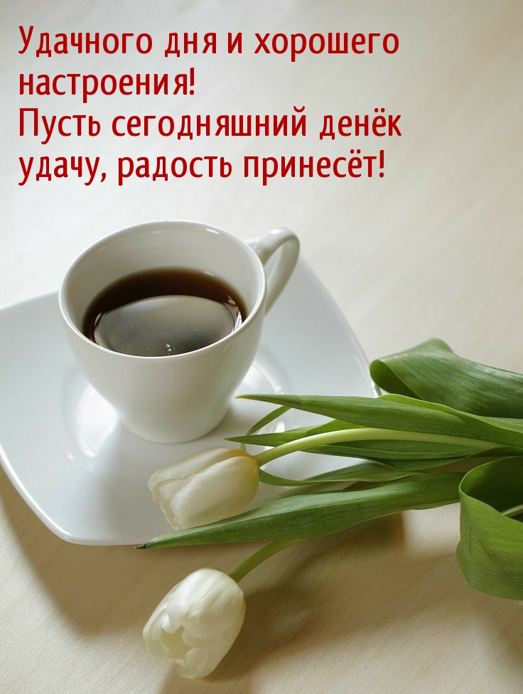 Пусть сегодняшний денёк удачу, радость принесёт!