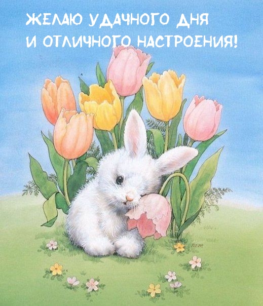Желаю удачного дня и отличного настроения!