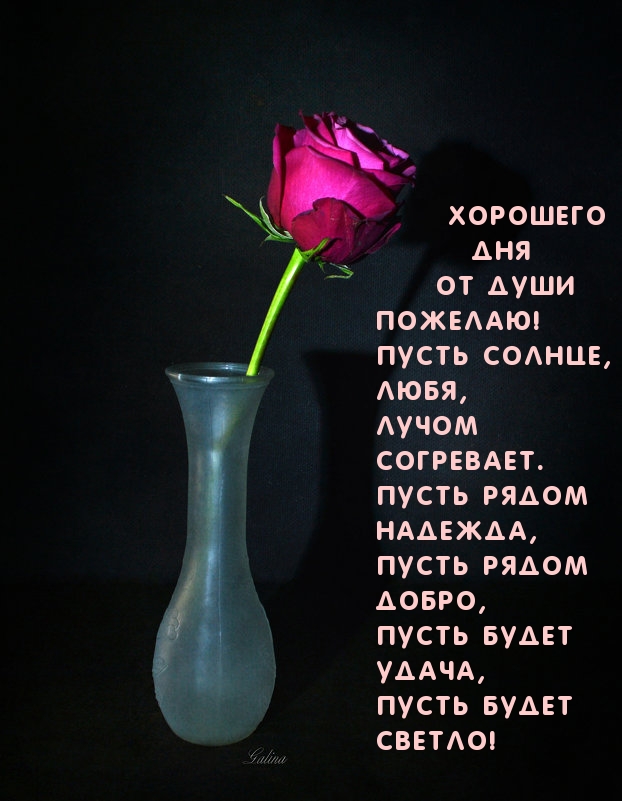 Хорошего дня от души пожелаю!