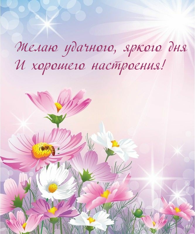 Желаю удачного, яркого дня и хорошего настроения!