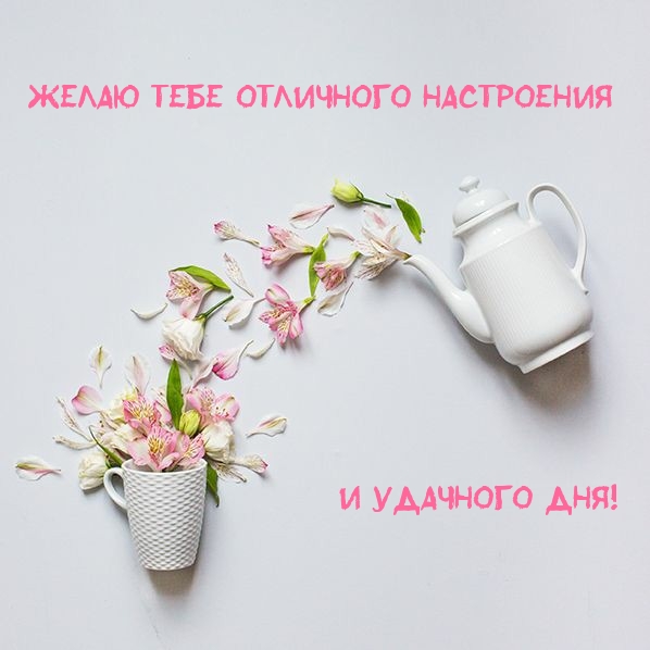 Желаю тебе отличного настроения и удачного дня!