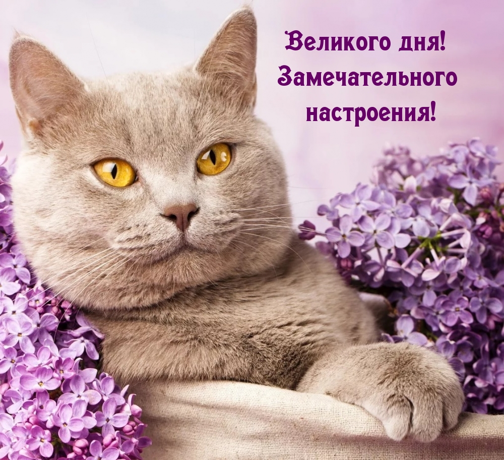 Великого дня! Замечательного настроения!