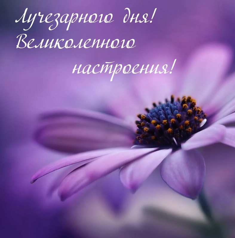 Лучезарного дня! Великолепного настроения!
