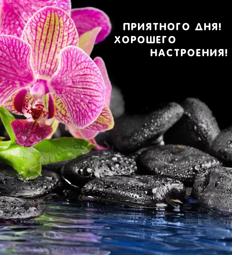 Приятного дня! Хорошего настроения!
