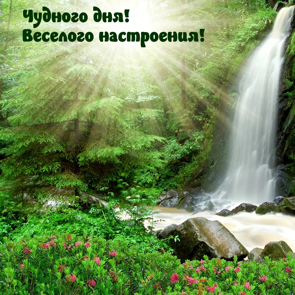 Чудного дня! Веселого настроения!