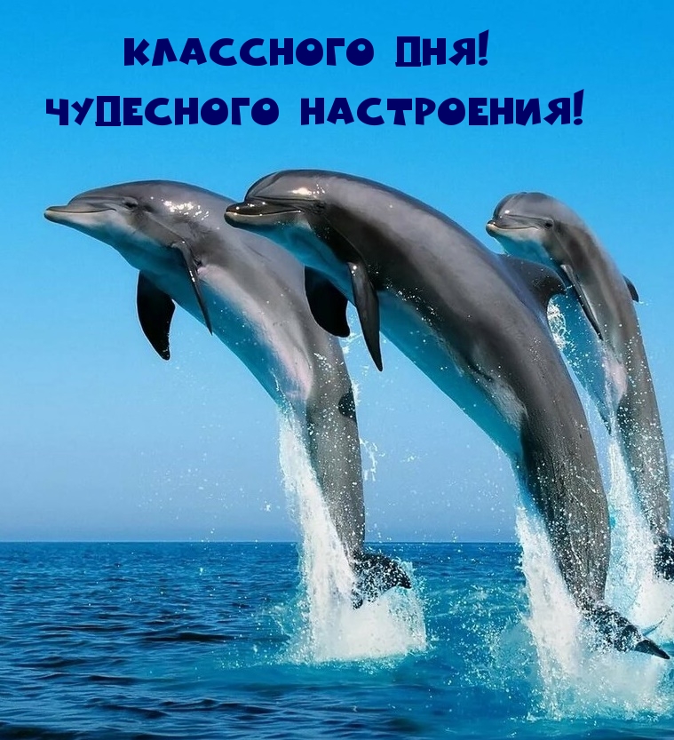 Классного дня! Чудесного настроения!