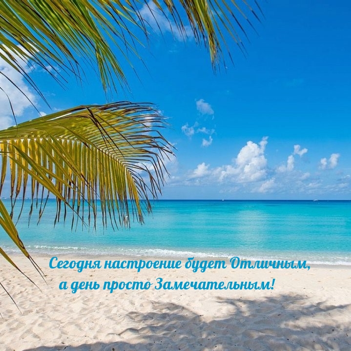 Отличного настроения и замечательного дня!