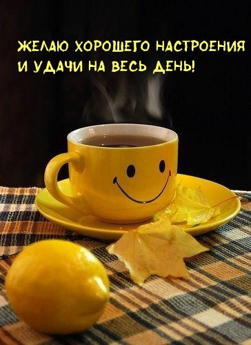 Желаю хорошего настроения И удачи на весь день!