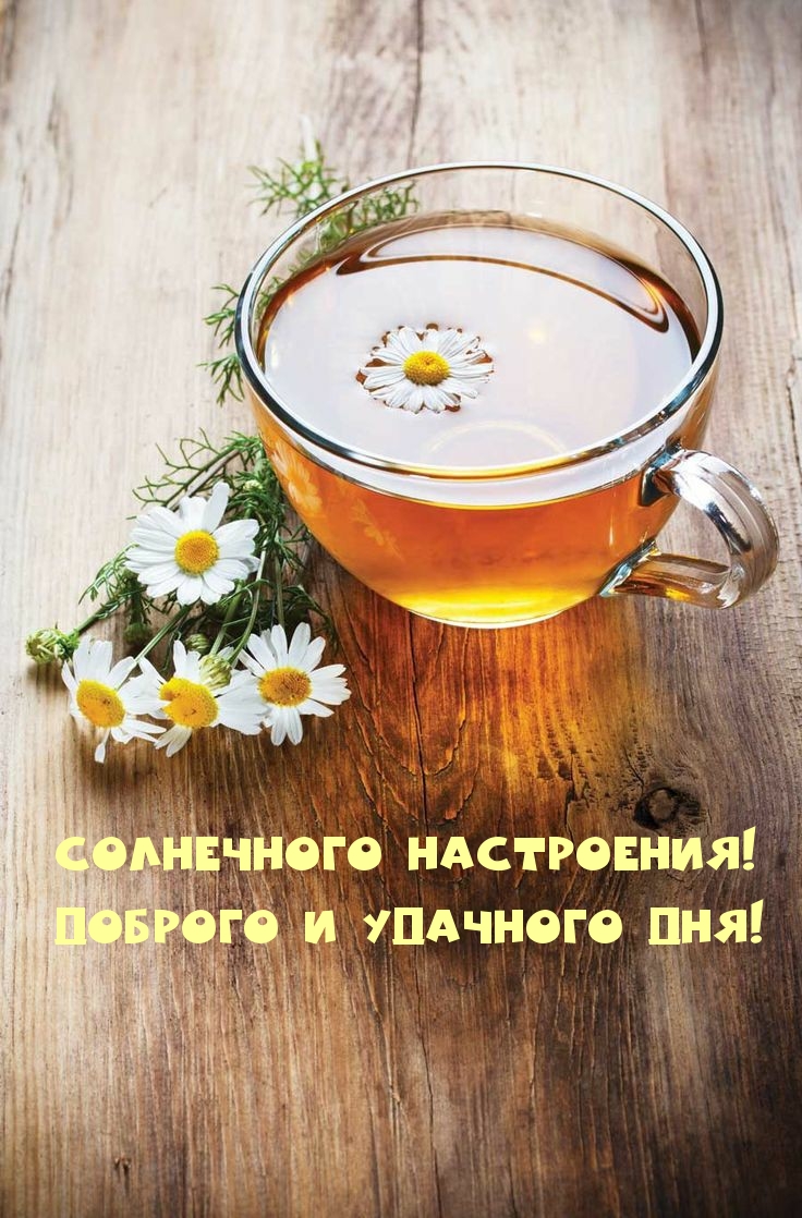 Солнечного настроения! Доброго и удачного дня!
