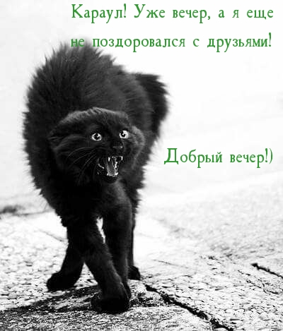 Добрый вечер!)  Уже вечер, а я еще  не поздоровался с друзьями!