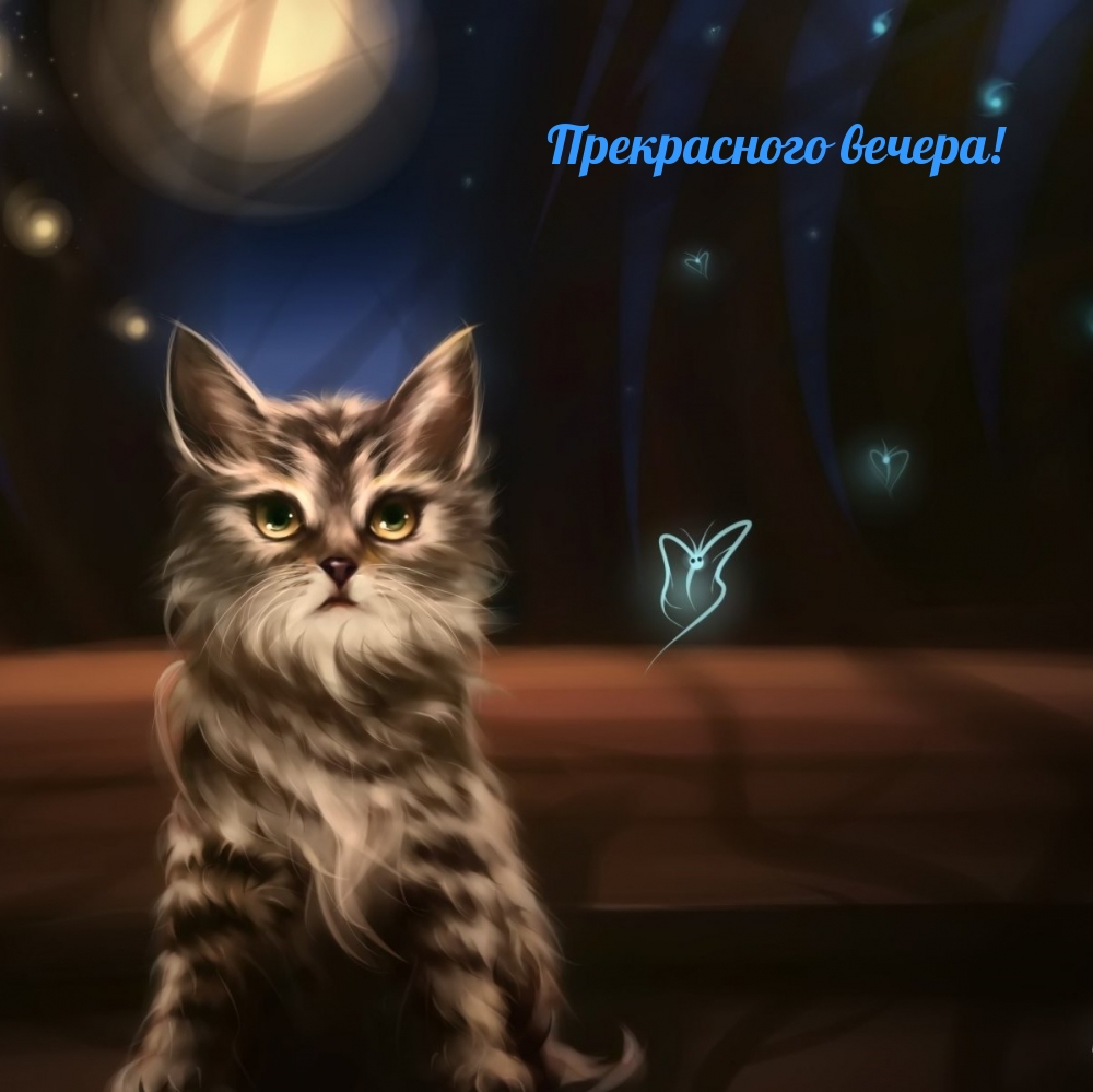 Прекрасного вечера!