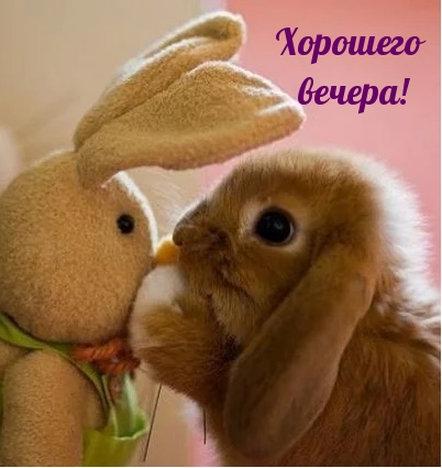 Хорошего вечера!