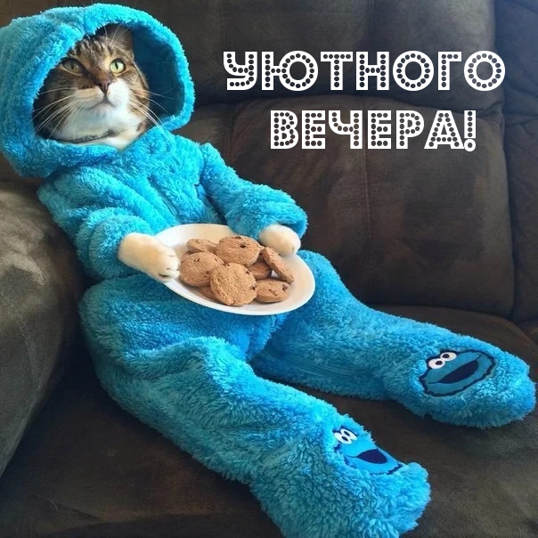 Уютного вечера!