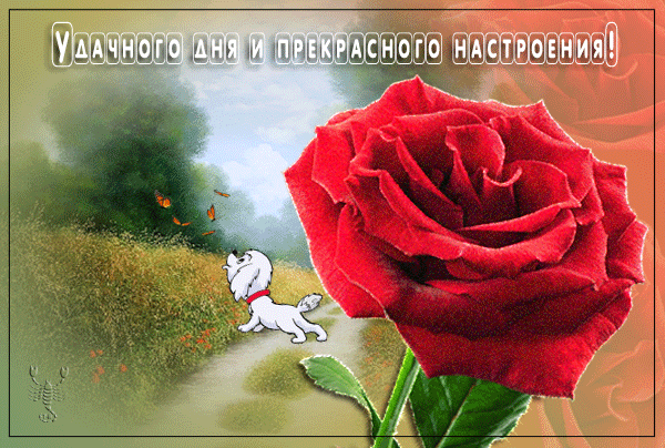 Удачного дня и прекрасного настроения!