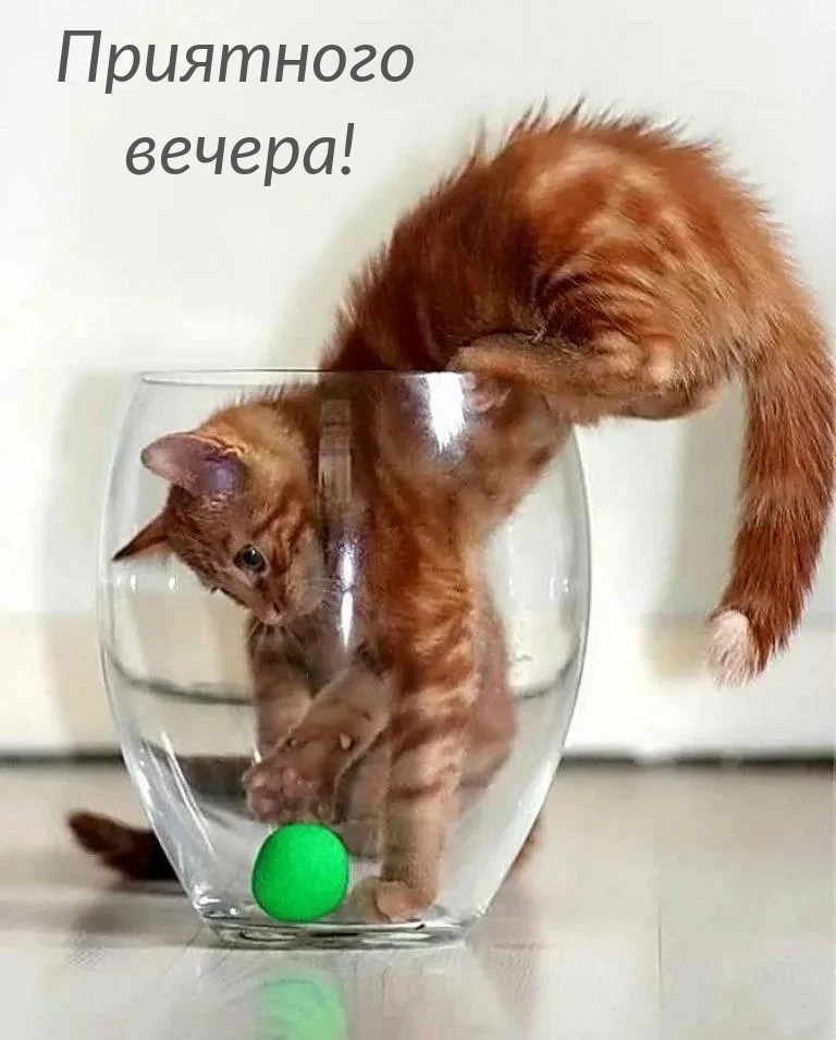 Приятного вечера!