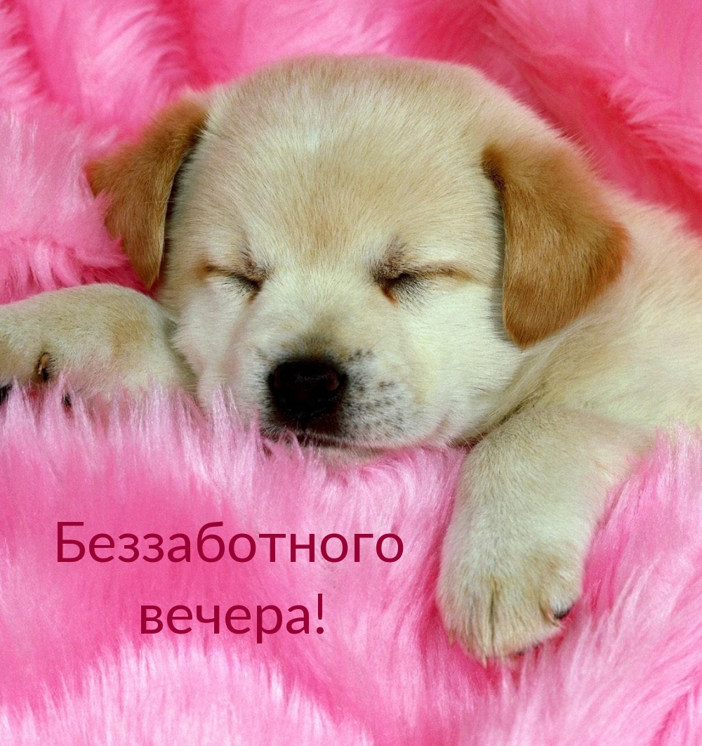 Беззаботного вечера!