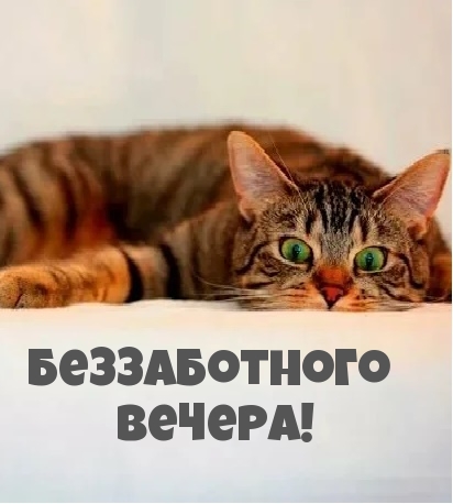 Беззаботного вечера!