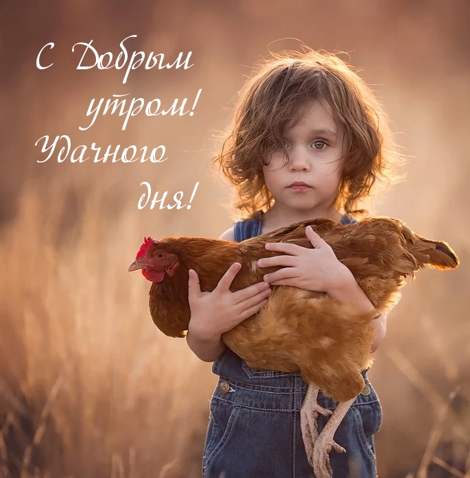 С Добрым утром! Удачного дня!