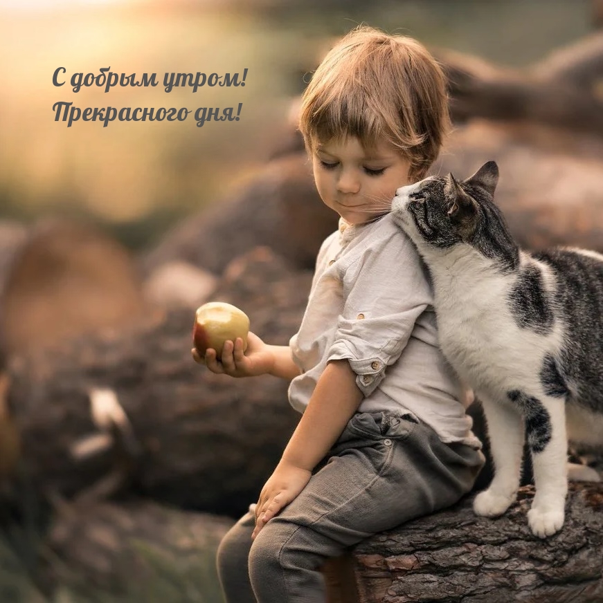 С добрым утром! Прекрасного дня!