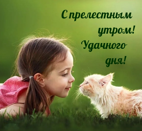 С прелестным утром! Удачного дня!