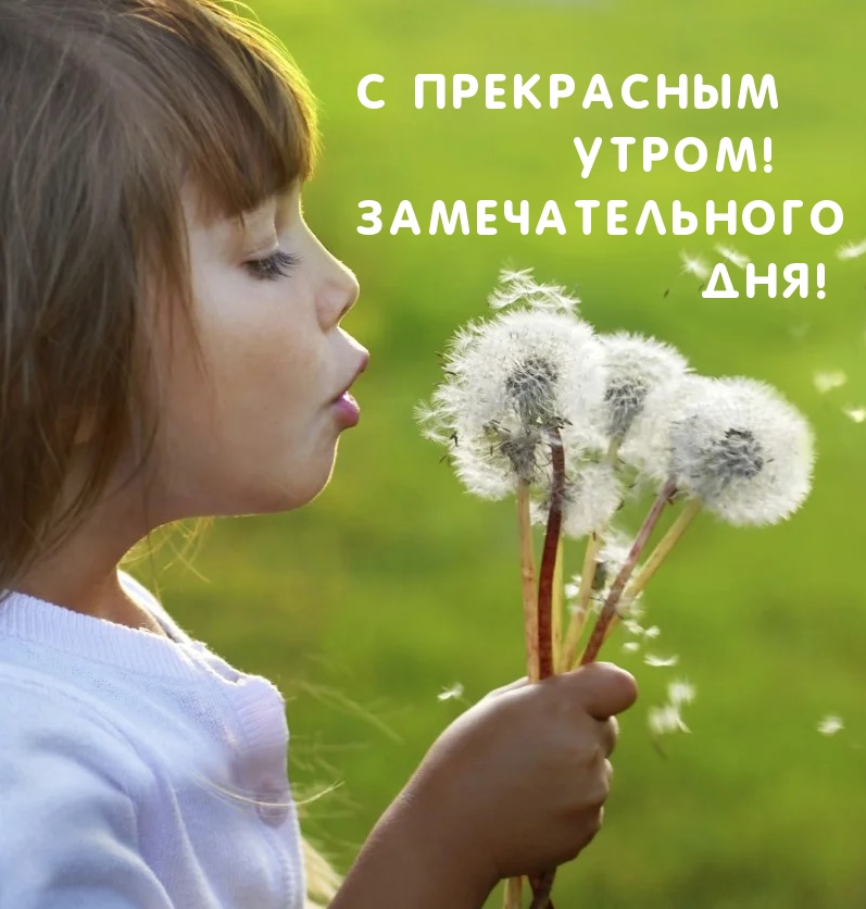 С прекрасным утром! Замечательного дня!