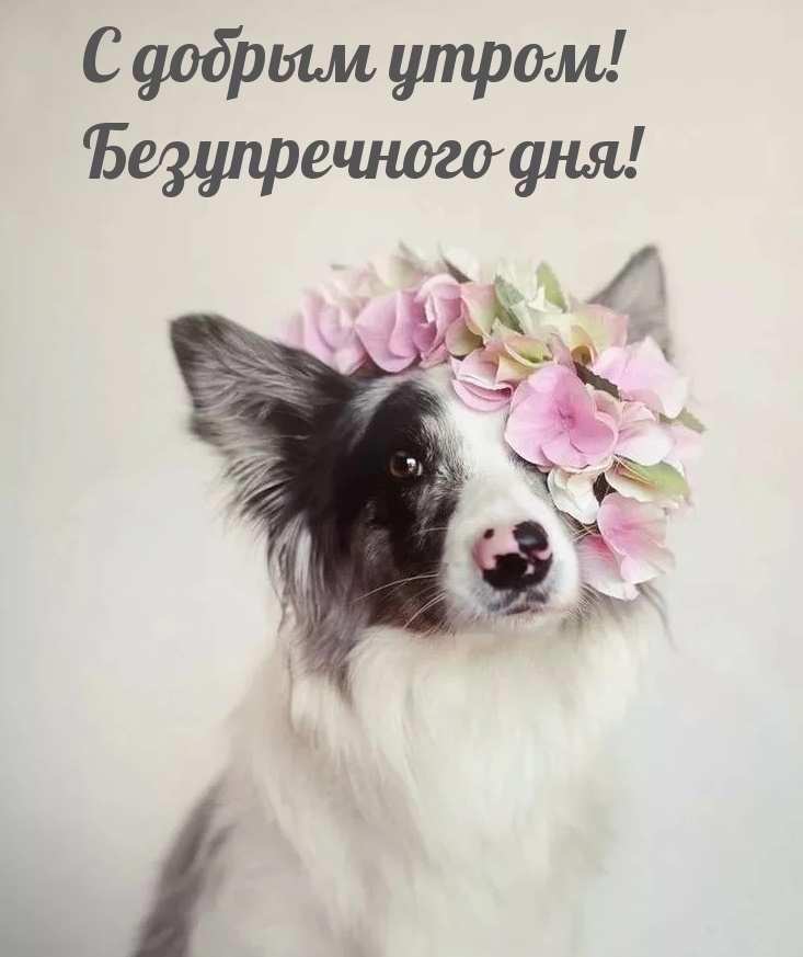 С добрым утром! Безупречного дня!