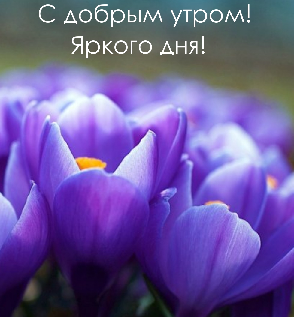 С добрым утром! Яркого дня!