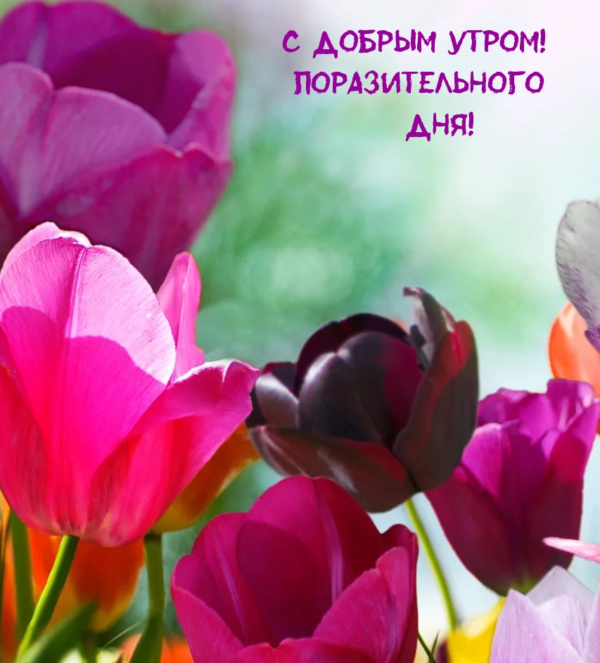 С добрым утром! Поразительного дня!