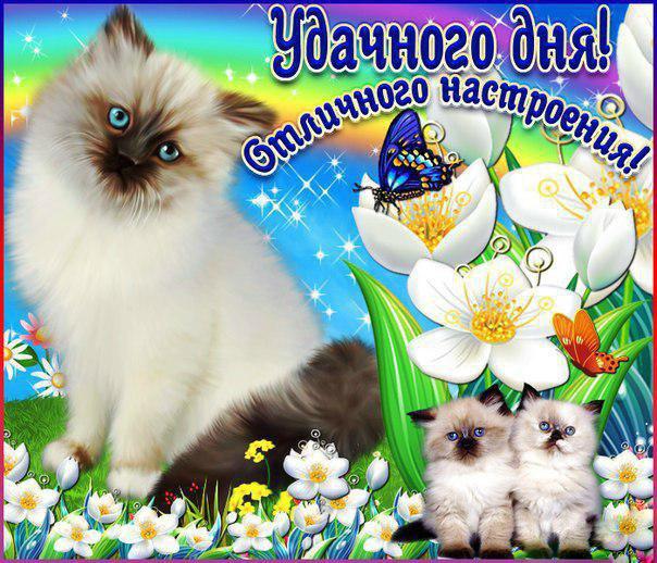 Удачного дня, отличного настроения!