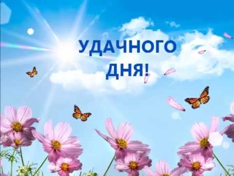 Удачного дня!