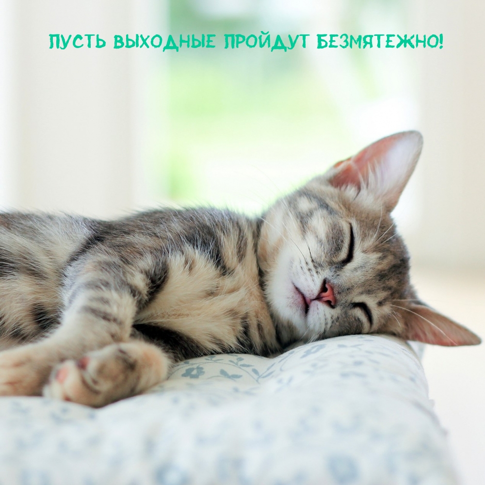 Пусть Выходные пройдут Безмятежно!