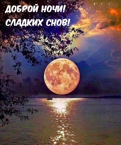 Доброй ночи! Сладких снов!
