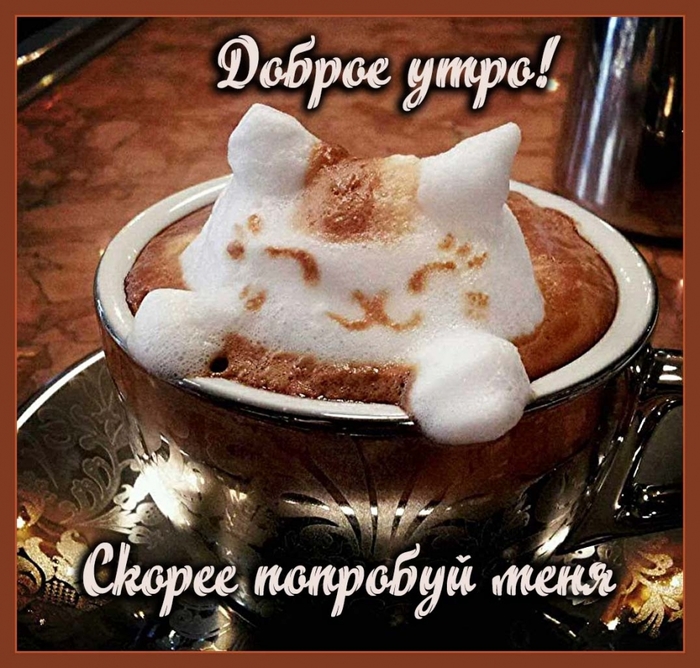 Доброе утро! Скорее попробуй меня!