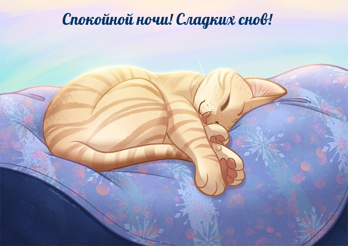 Спокойной ночи! Сладких снов!