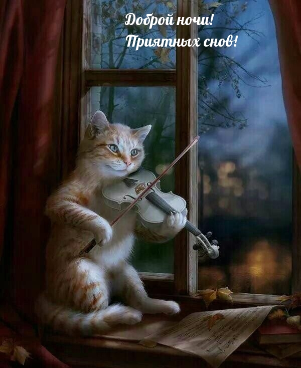 Доброй ночи! Приятных снов!
