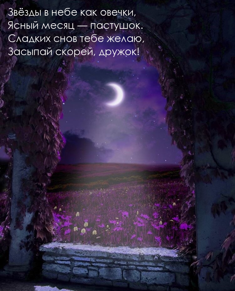 Стихи для пожелания спокойной ночи мужчине
