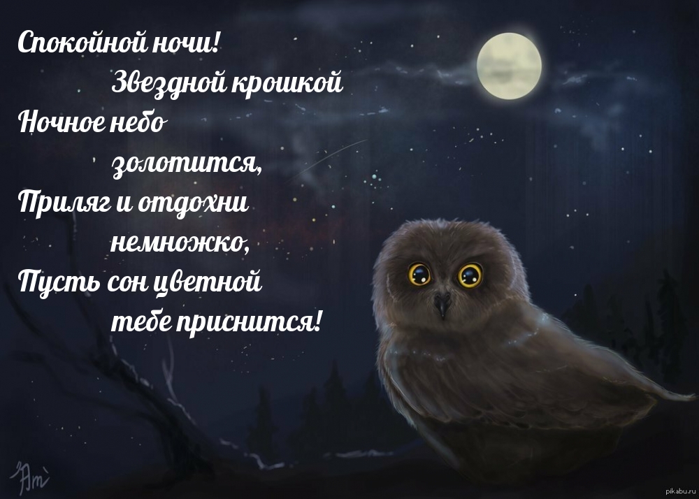 Спокойной ночи!  Пусть сон цветной тебе приснится!