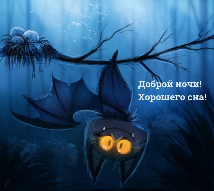 Доброй ночи! Хорошего сна!