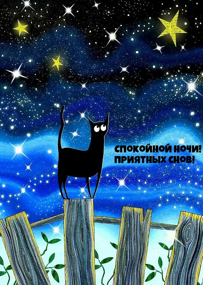 Спокойной ночи! Приятных снов!