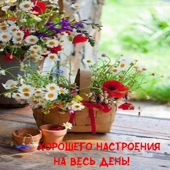 Хорошего настроения на весь день!