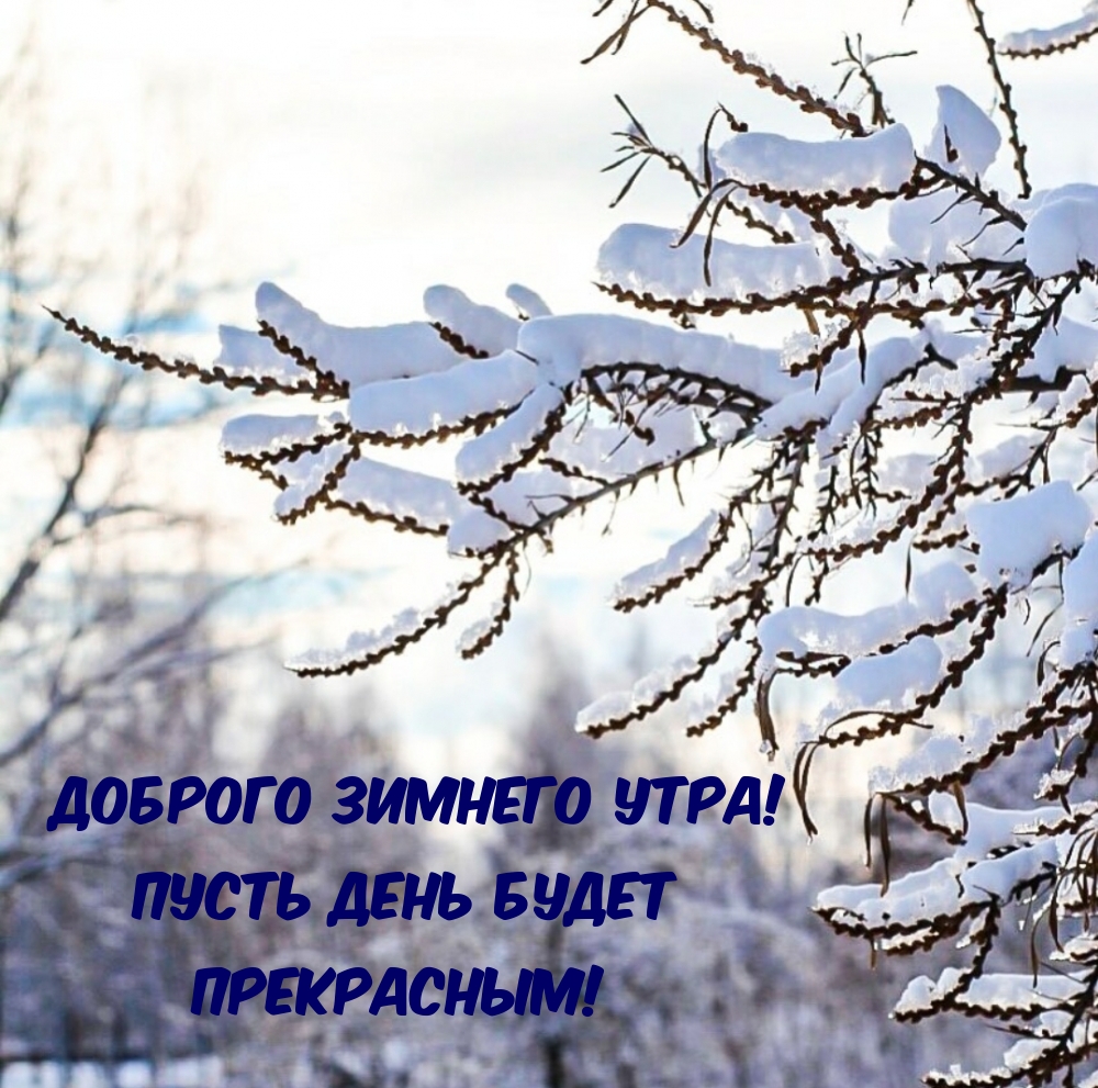 Доброго зимнего утра! Прекрасного дня