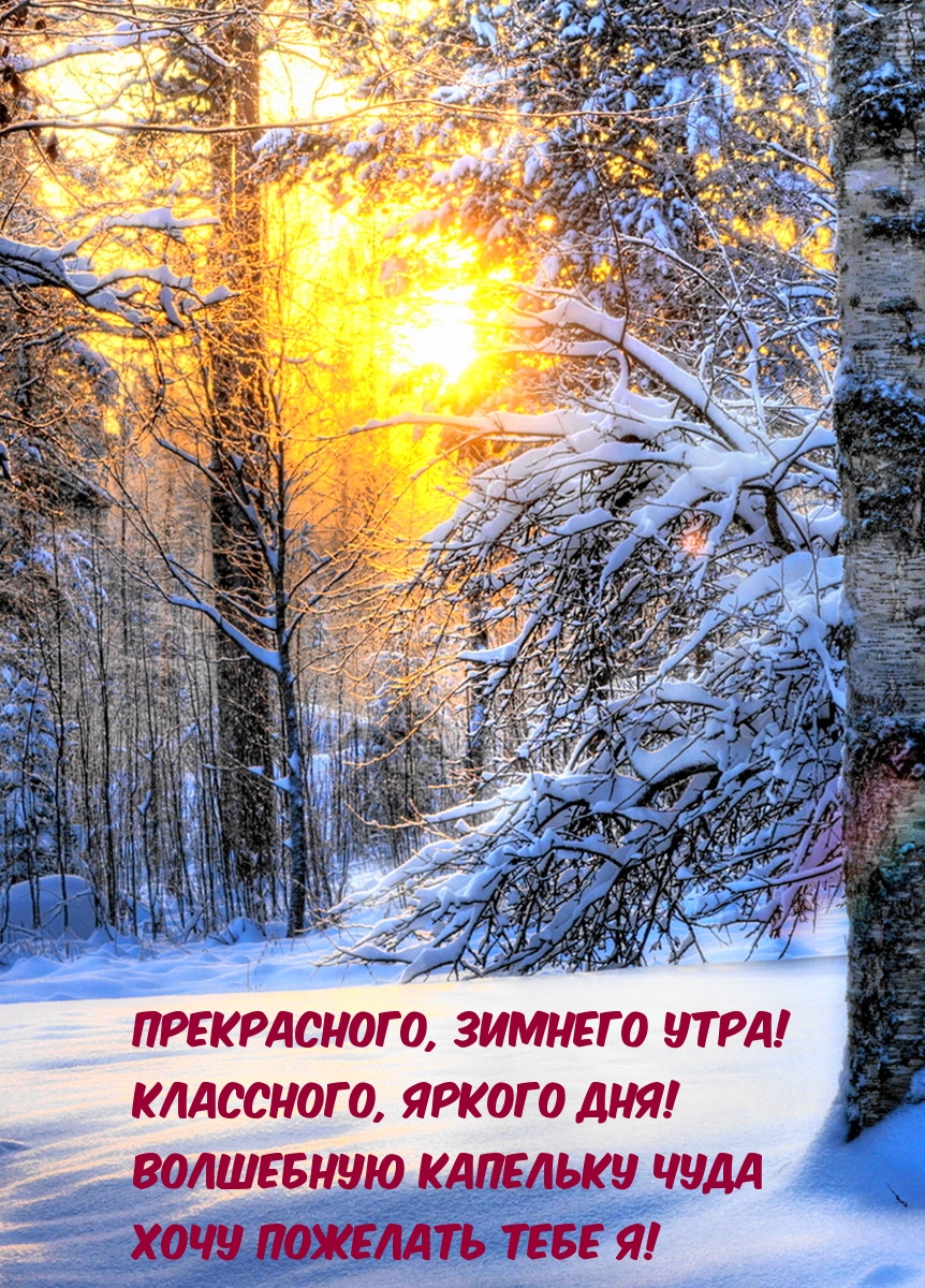 Прекрасного, зимнего утра!
