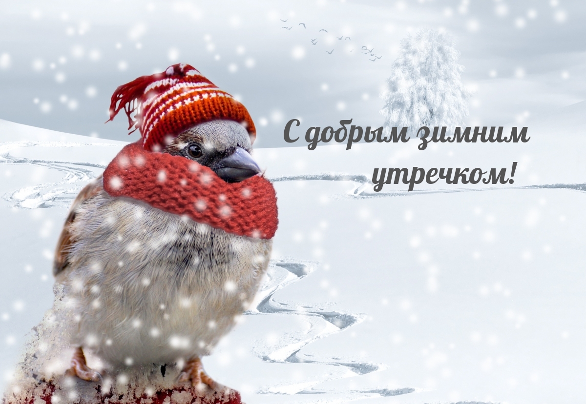 С добрым зимним утречком!