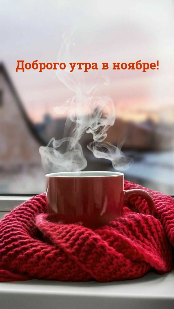 Доброго утра в ноябре!