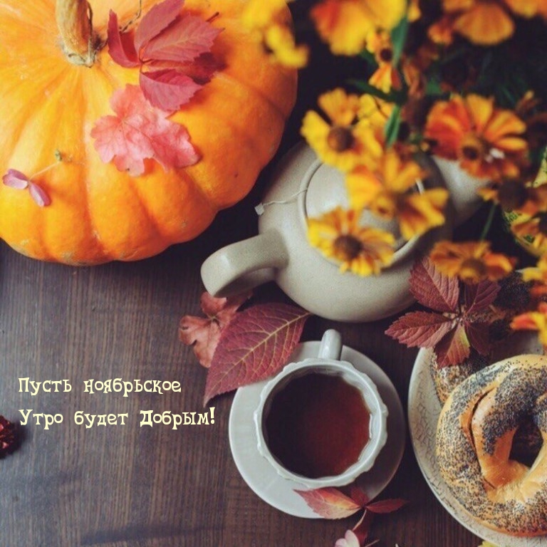 Пусть ноябрьское Утро будет Добрым!