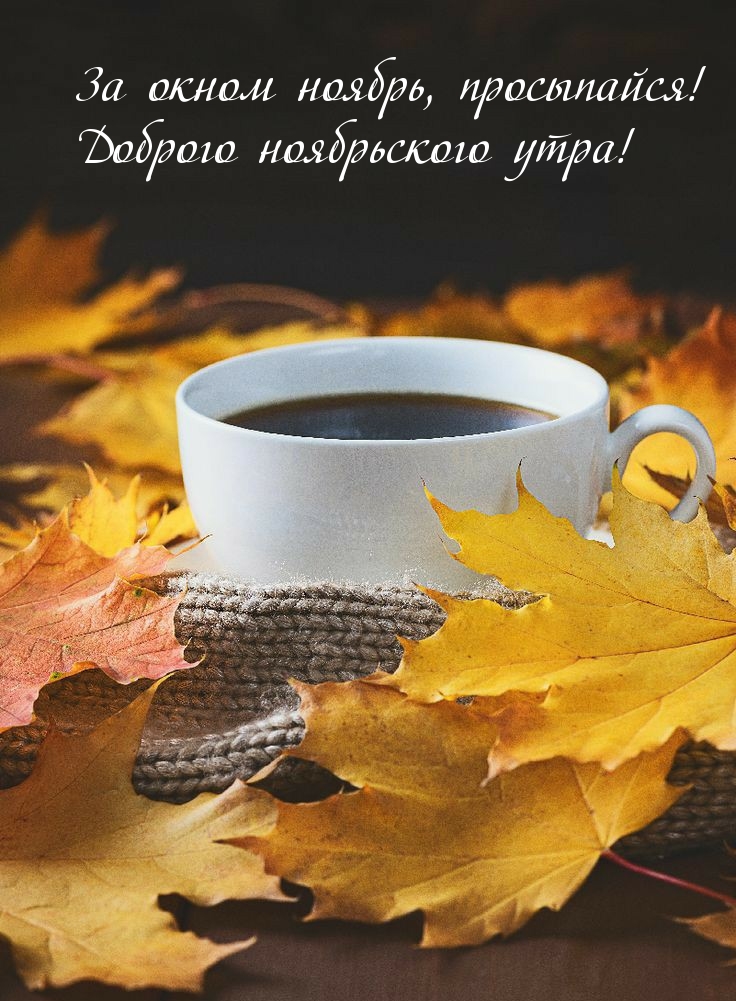 За окном ноябрь, просыпайся!