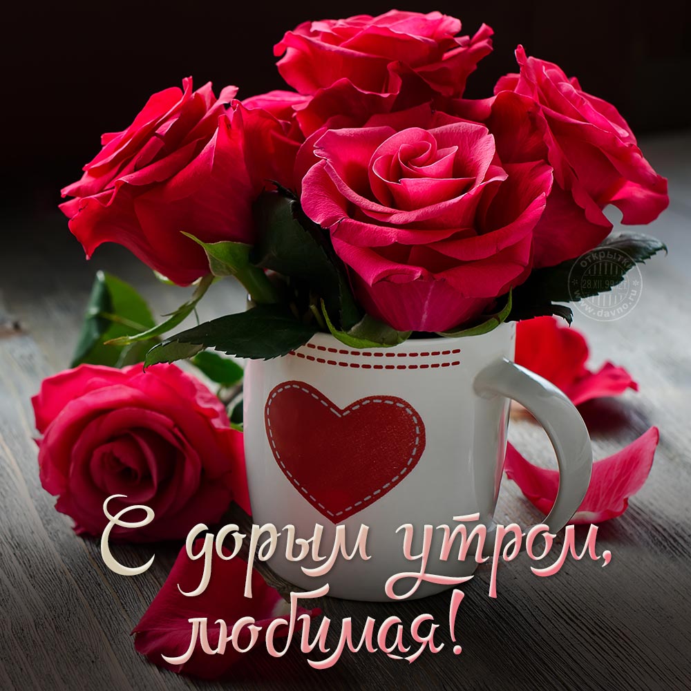 С добрым утром, любимая!