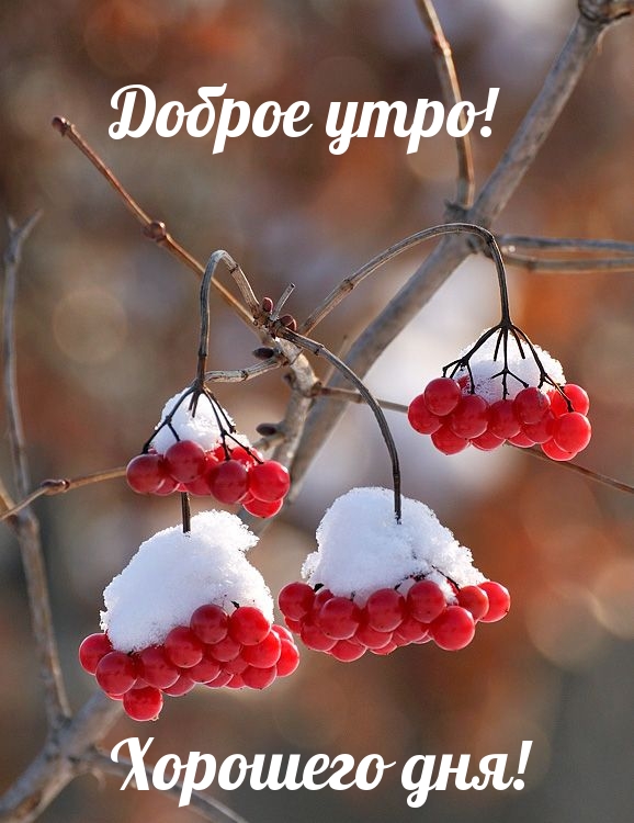 Доброе утро! Хорошего дня!